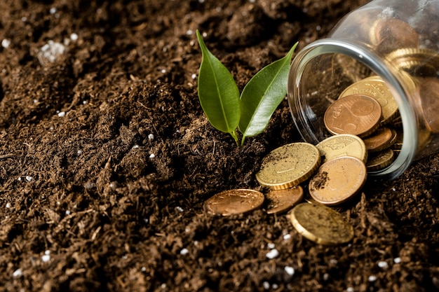 high-angle-coins-spilling-from-jar-dirt-with-plant_23-2148803951-1.jpg