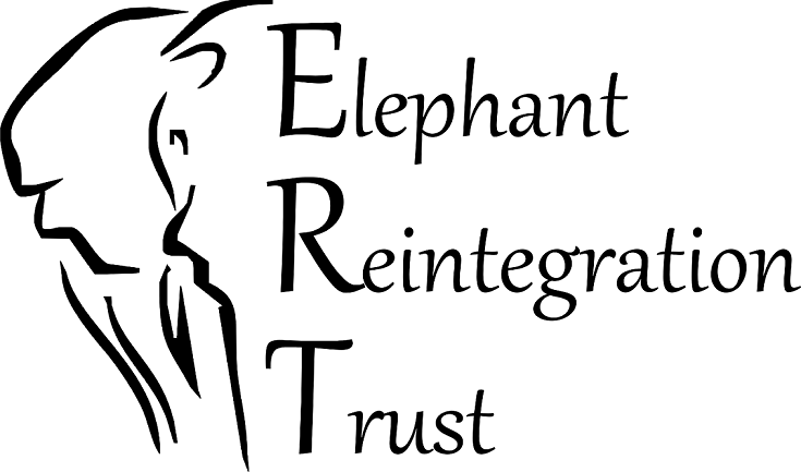 ERT full trans black under50kb