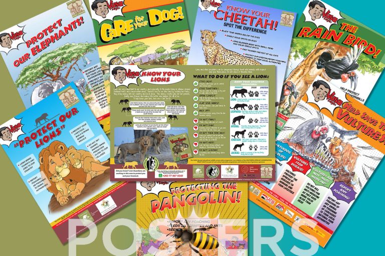 SACT Page Headers Posters 768x512